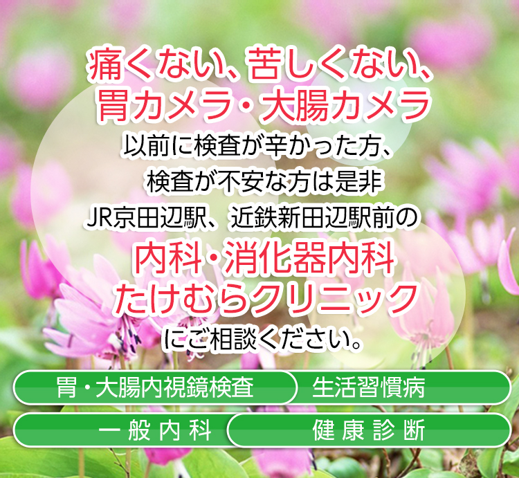 たけむらクリニック|京都府京田辺市の内科クリニック、一般内科、消化器内科、生活習慣病、漢方診療は当院へ。各種健康診断、予防接種も行っています。