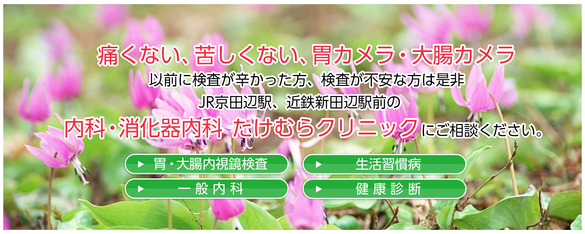 たけむらクリニック|京都府京田辺市の内科クリニック、一般内科、消化器内科、生活習慣病、漢方診療は当院へ。各種健康診断、予防接種も行っています。